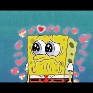 Meet your Posher, Eva